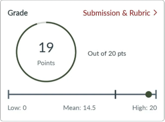 Cropped assignment score card showing 19 out of 20 points.